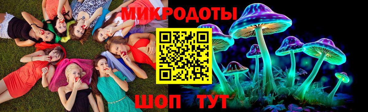Бердск  Галлюциногенные грибы Psilocybe  Галлюциногенные грибы Psilocybine cubensis  Вход с VPN 